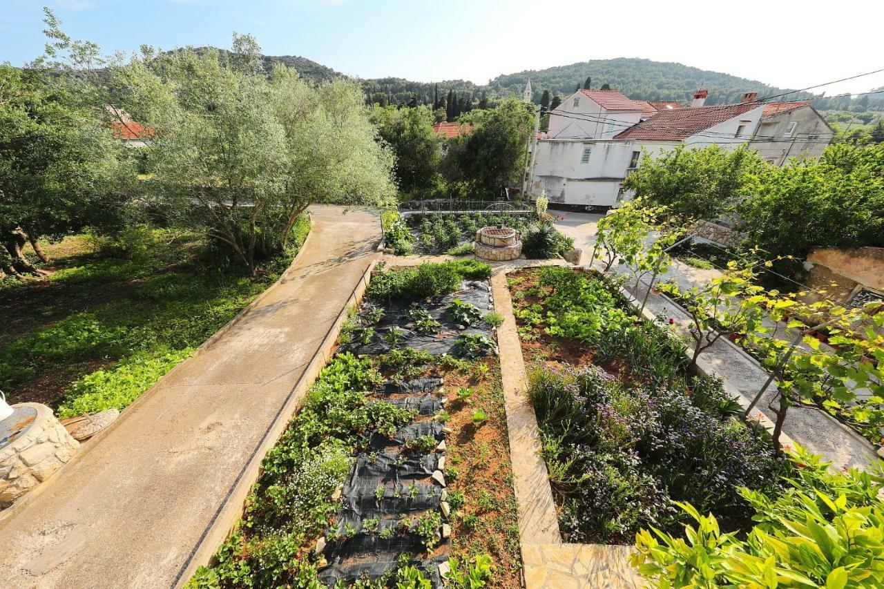 Apartmán Senkini Dvori Sutomiscica Exteriér fotografie